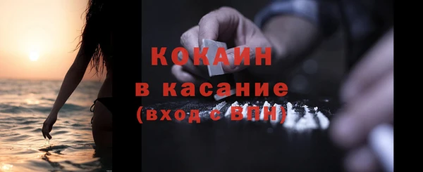 mdpv Инсар