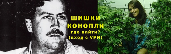 mdpv Инсар
